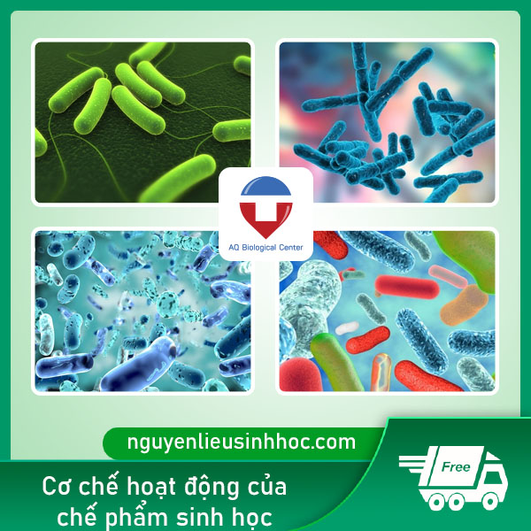 Chế phẩm sinh học là gì? có vai trò, công dụng như thế nào?