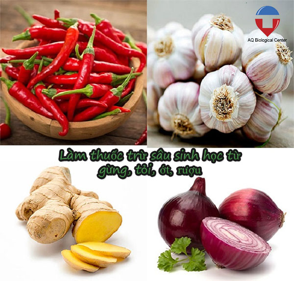 Thuốc trừ sâu sinh học là gì? các loại thuốc trừ sâu sinh học tốt