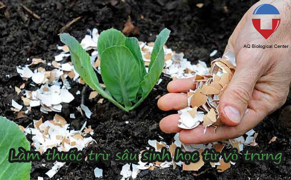 Thuốc trừ sâu sinh học là gì? các loại thuốc trừ sâu sinh học tốt