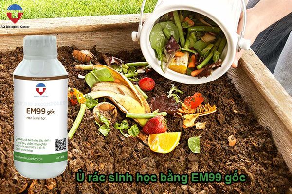 Rác thải hữu cơ là gì? Phân loại và xử lý rác hữu cơ tại nhà