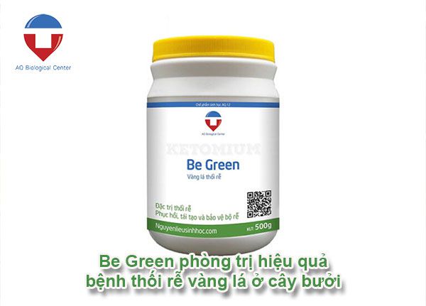 Cây bưởi bị thối rễ nguyên nhân do đâu và cách khắc phục