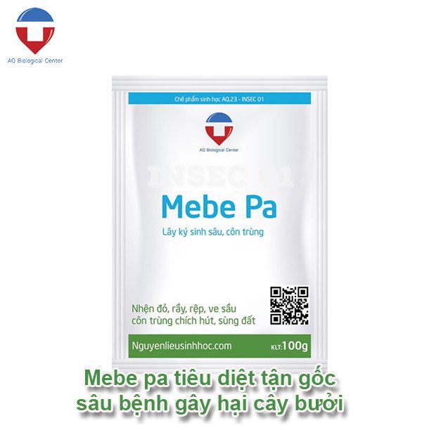 Sâu bệnh hại bưởi: Cách nhận biết và phòng trừ hiệu quả