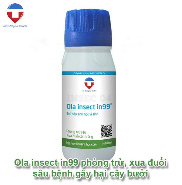 Sâu bệnh hại bưởi: Cách nhận biết và phòng trừ hiệu quả