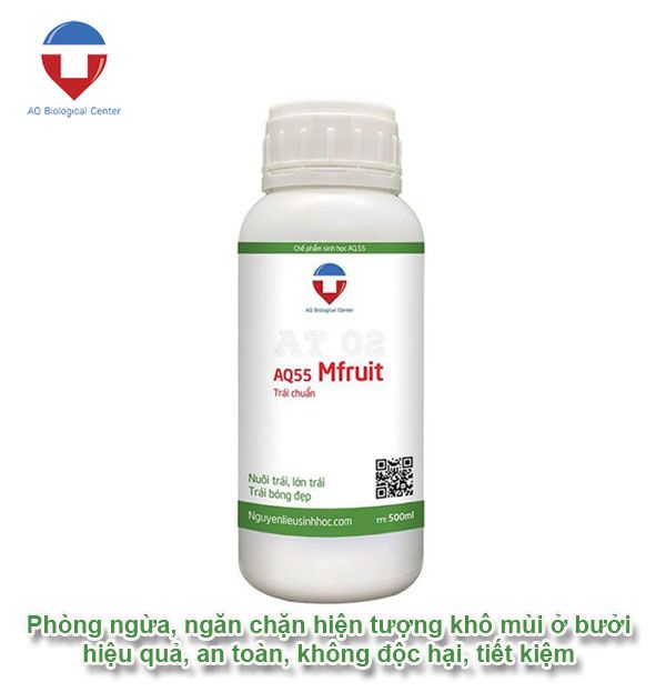 Bưởi bị khô múi, sượng múi: Nguyên nhân và cách khắc phục