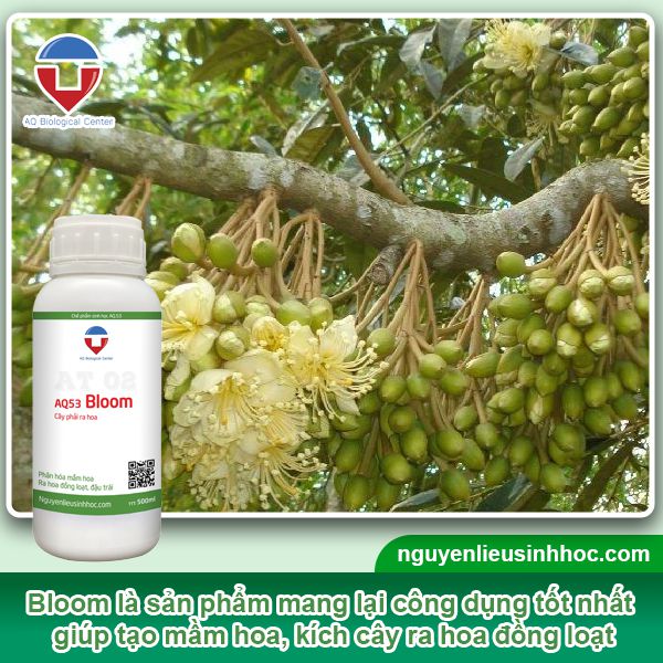 Đại lý phân bón tại Long An uy tín, chất lượng, giá tốt