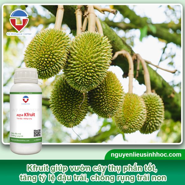 Đại lý phân bón tại Long An uy tín, chất lượng, giá tốt