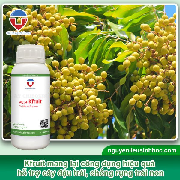Đại lý phân bón tại Hậu Giang uy tín, giá tốt, sp chất lượng