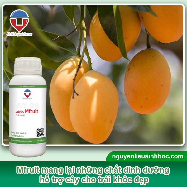 Đại lý phân bón tại Hậu Giang uy tín, giá tốt, sp chất lượng