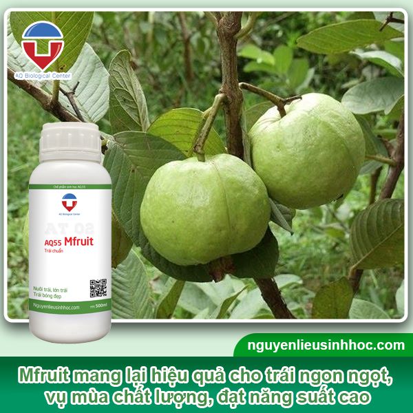 Đại lý phân bón tại Long An uy tín, chất lượng, giá tốt