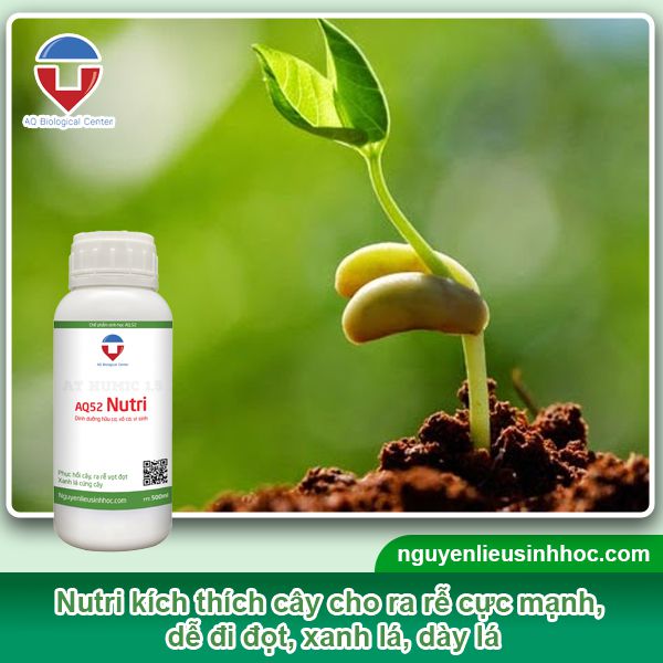 Đại lý phân bón tại Hậu Giang uy tín, giá tốt, sp chất lượng
