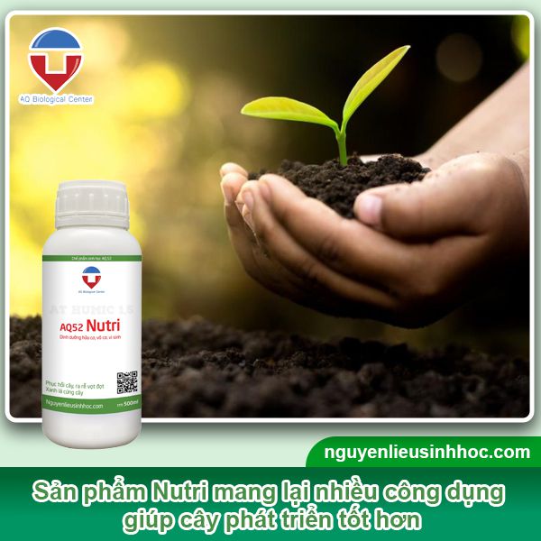 Đại lý phân bón tại Long An uy tín, chất lượng, giá tốt