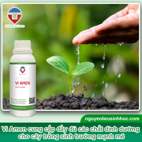 Đại lý phân bón tại Hậu Giang uy tín, giá tốt, sp chất lượng