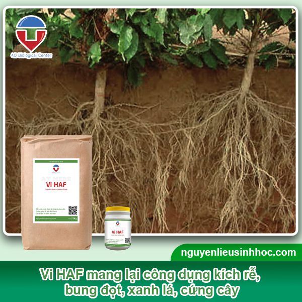 Đại lý phân bón tại Hậu Giang uy tín, giá tốt, sp chất lượng