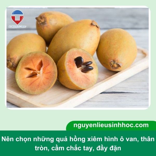 Cách dấm hồng xiêm nhanh chín tại nhà, thơm ngon, giòn ngọt
