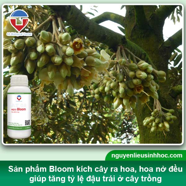 Đại lý phân bón tại Bạc Liêu uy tín, sp chất lượng, giá tốt