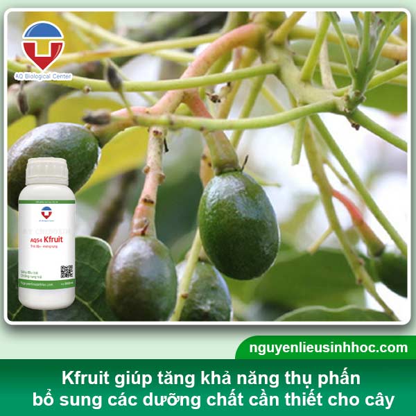 Đại lý phân bón tại Bạc Liêu uy tín, sp chất lượng, giá tốt