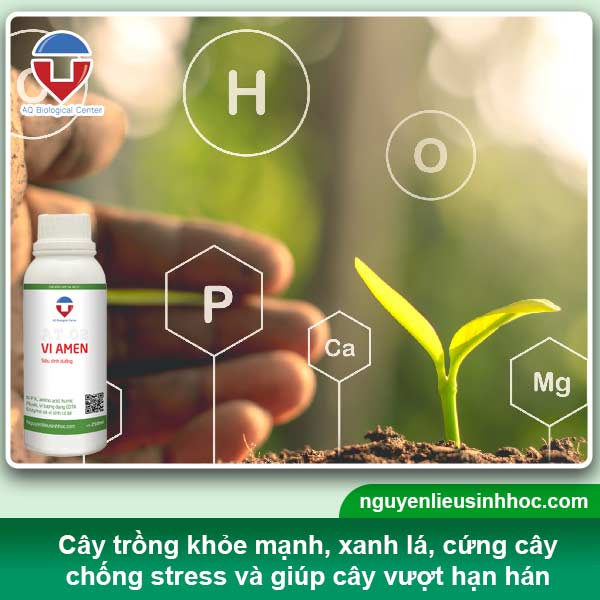 Đại lý phân bón tại Bạc Liêu uy tín, sp chất lượng, giá tốt