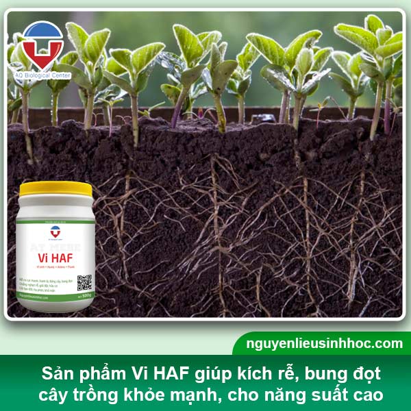 Đại lý phân bón tại Bạc Liêu uy tín, sp chất lượng, giá tốt