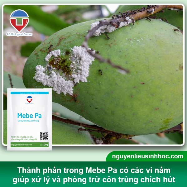 Đại lý thuốc trừ sâu sinh học tại Bình Dương uy tín, giá tốt