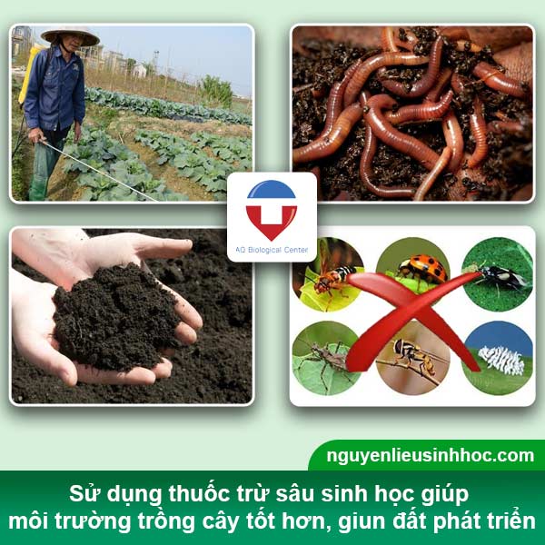 Đại lý thuốc trừ sâu sinh học tại Bình Dương uy tín, giá tốt