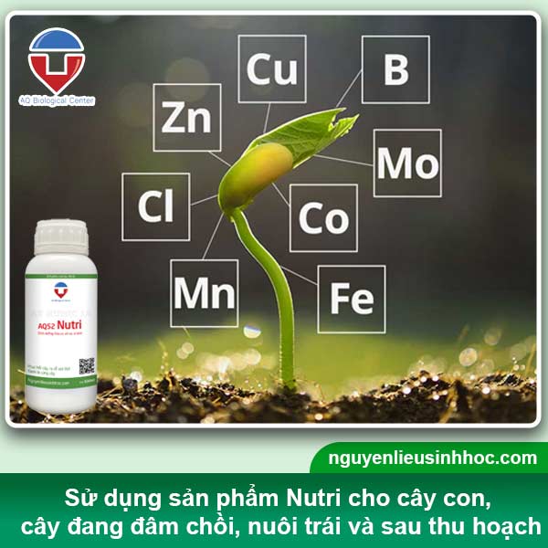 Đại lý phân bón tại Bạc Liêu uy tín, sp chất lượng, giá tốt