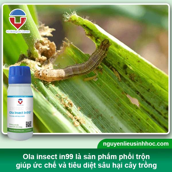 Đại lý thuốc trừ sâu sinh học tại Bình Dương uy tín, giá tốt