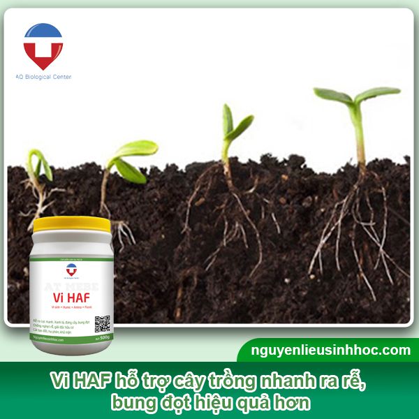 Đại lý phân bón tại Long An uy tín, chất lượng, giá tốt