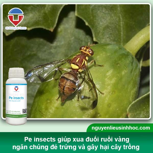 Đại lý thuốc trừ sâu sinh học tại Bình Dương uy tín, giá tốt